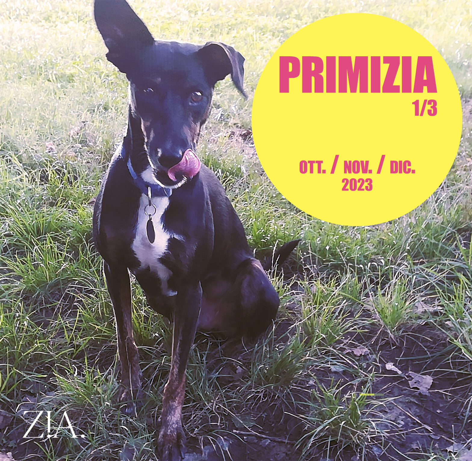 primizia